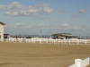 img0005.jpg