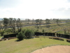 img0011.jpg