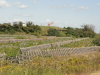 img0020.jpg
