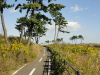 img0024.jpg