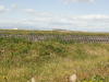 img0026.jpg