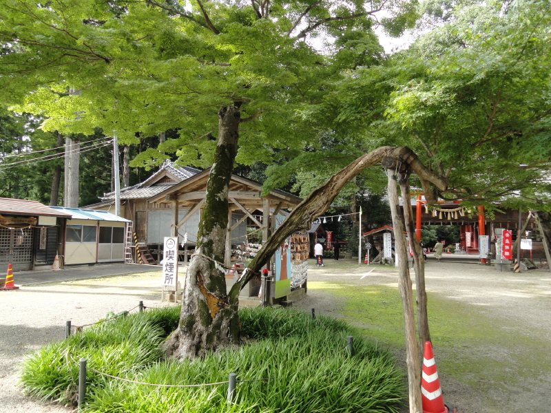 img0009.jpg