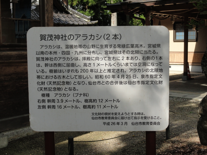 img0023.jpg