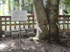 img0029.jpg