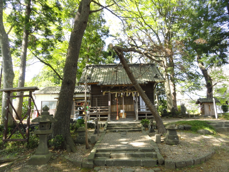img0004.jpg