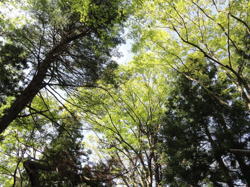 img0015.jpg