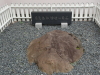 img0002.jpg