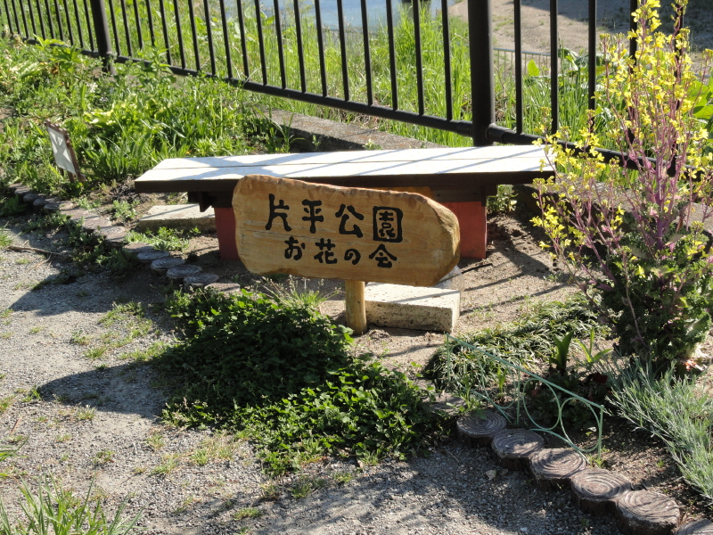 img0010.jpg