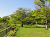 img0008.jpg