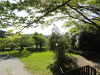 img0022.jpg