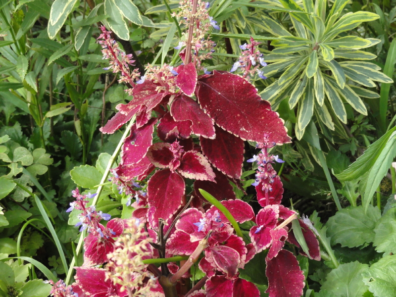 img0020.jpg