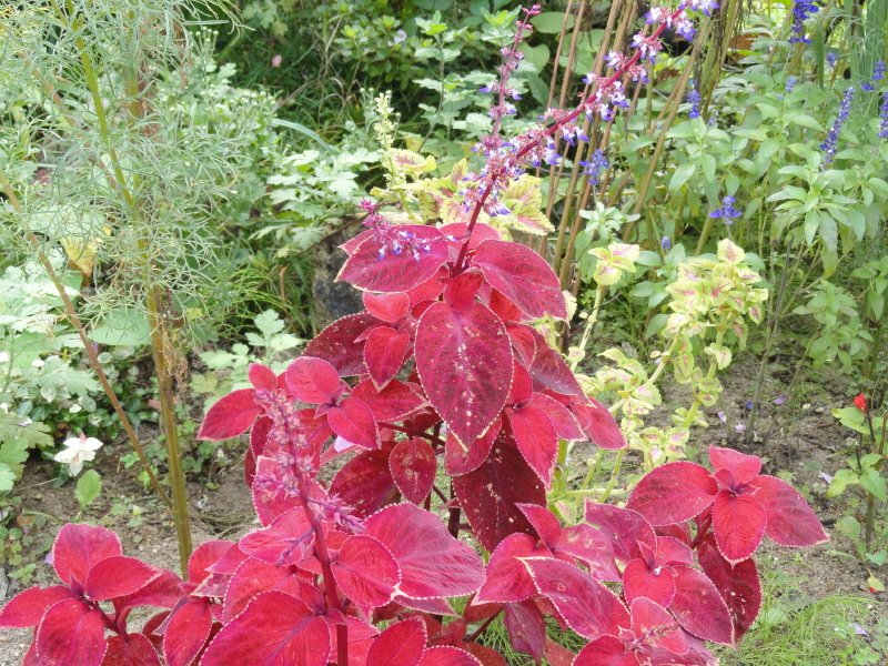 img0028.jpg