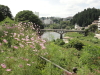 img0006.jpg