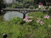 img0007.jpg