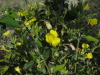 img0014.jpg
