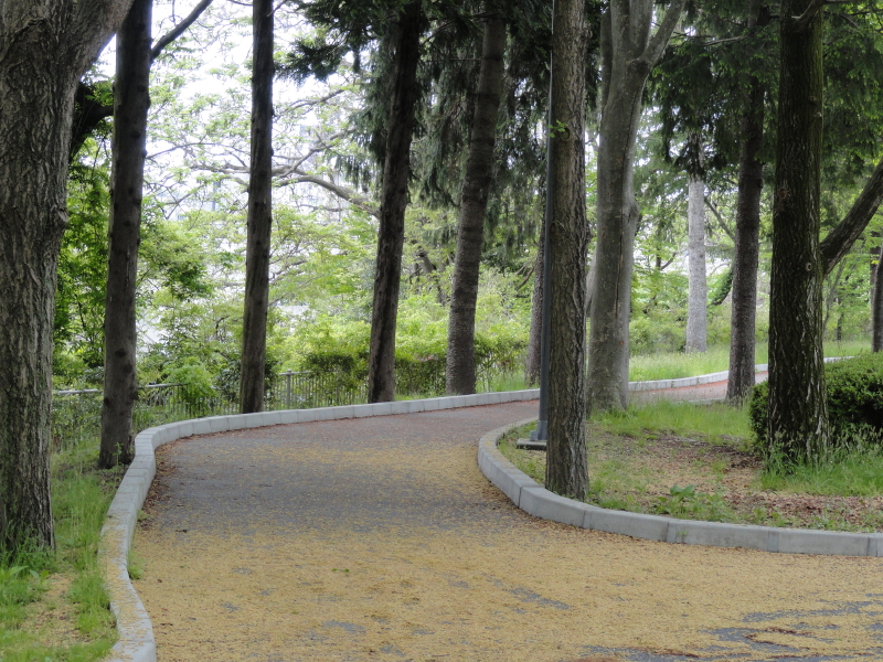 img0004.jpg