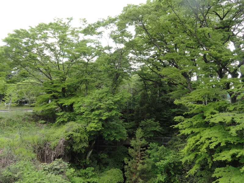 img0015.jpg