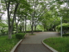 img0000.jpg