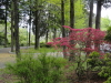 img0003.jpg