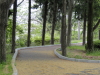img0004.jpg