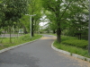 img0005.jpg