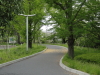 img0006.jpg