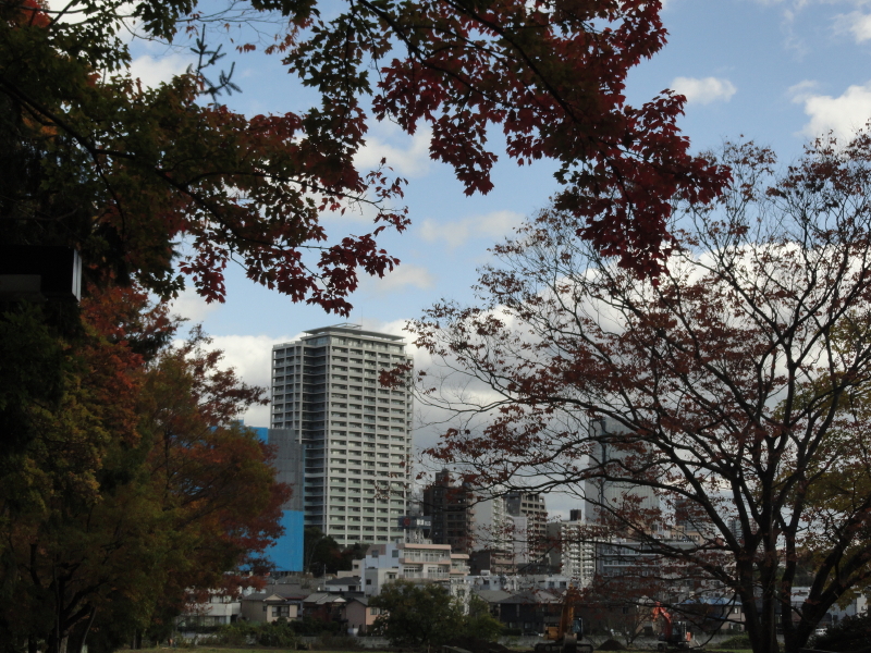 img0000.jpg