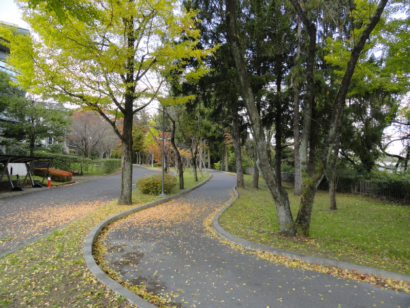 img0008.jpg