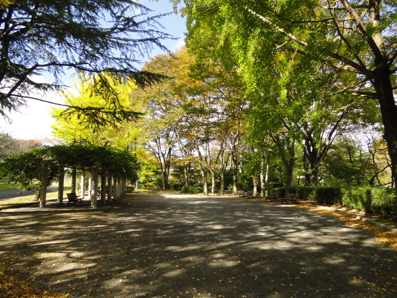 img0010.jpg