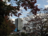 img0000.jpg