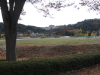 img0004.jpg
