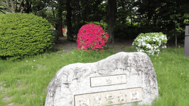 img0067.jpg
