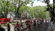 img0019.jpg