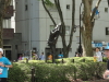 img0011.jpg