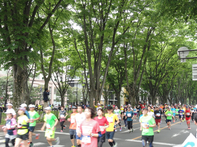 img0012.jpg