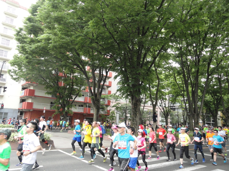 img0013.jpg
