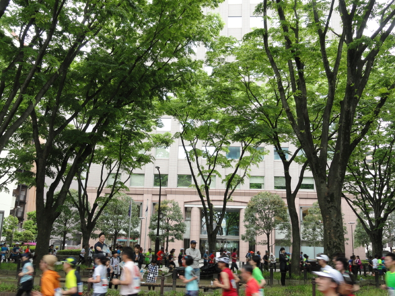 img0017.jpg
