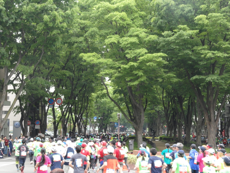 img0025.jpg