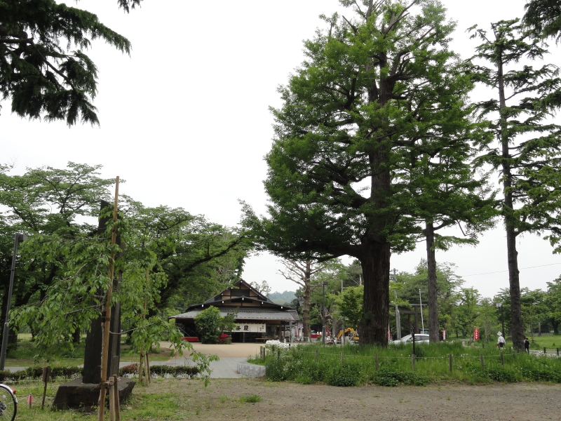 img0046.jpg