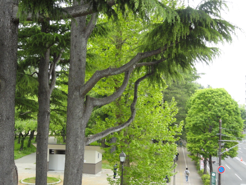 img0048.jpg