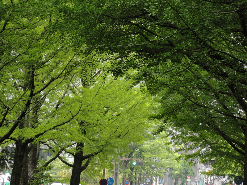 img0136.jpg