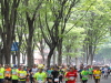 img0006.jpg