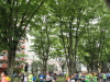 img0014.jpg