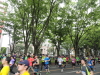 img0015.jpg