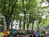 img0019.jpg