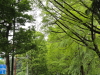 img0030.jpg