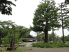 img0046.jpg