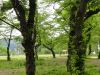 img0047.jpg