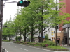 img0049.jpg