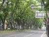 img0050.jpg